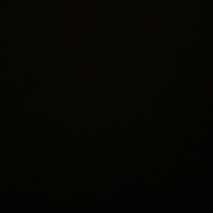 Meet your Posher, Madeline